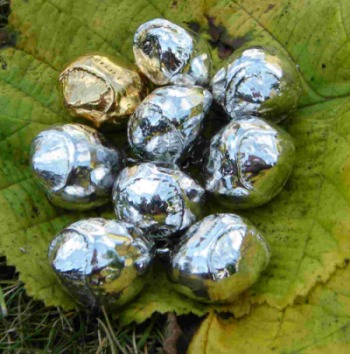 Some of the hazelnuts made for the PTES Great Nut Hunt